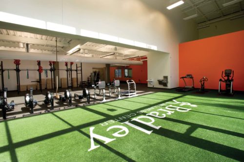 Hamilton Spine Health & Sport