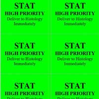 STAT High Priority Labels