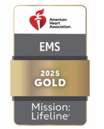 EMS gold award logo